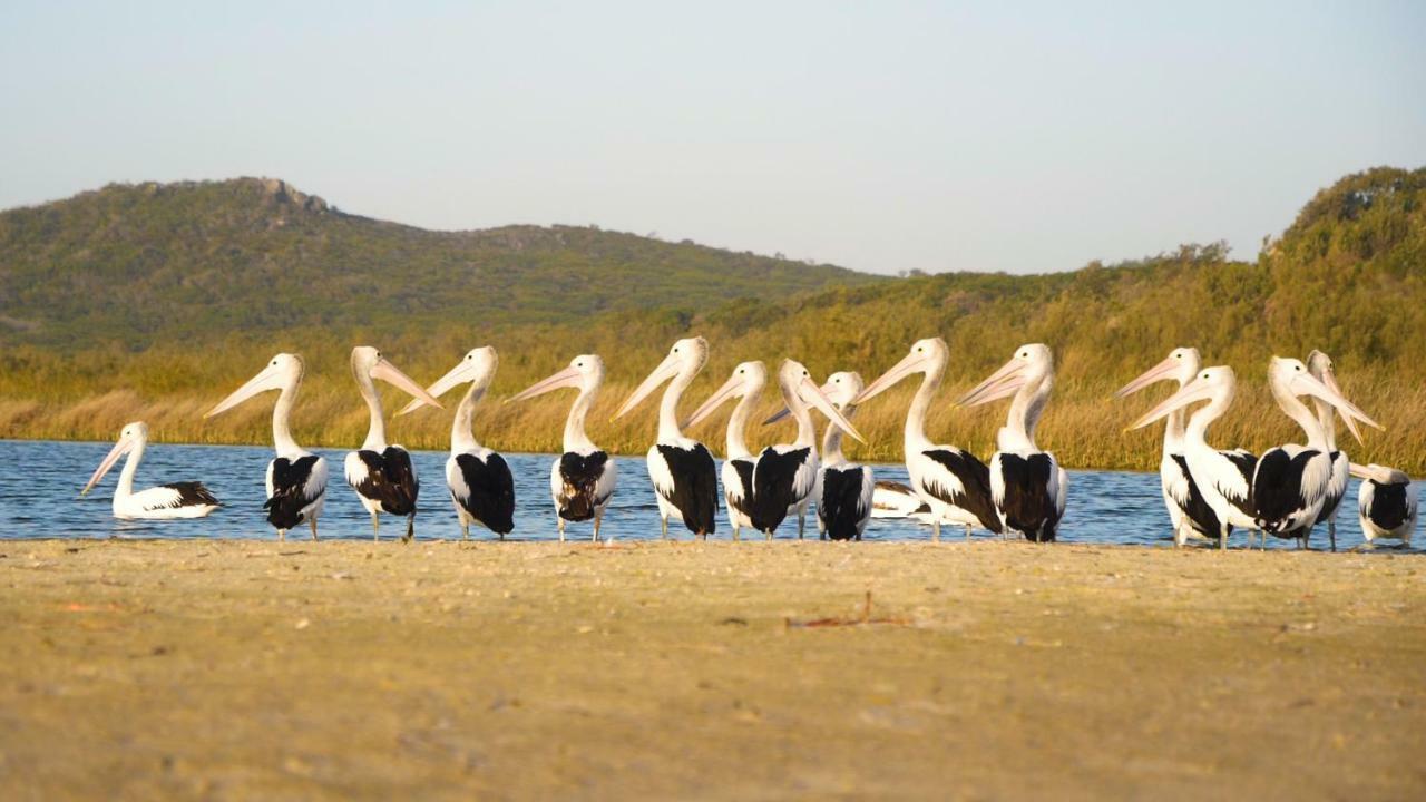 Castaways Moreton Island Bulwer Esterno foto